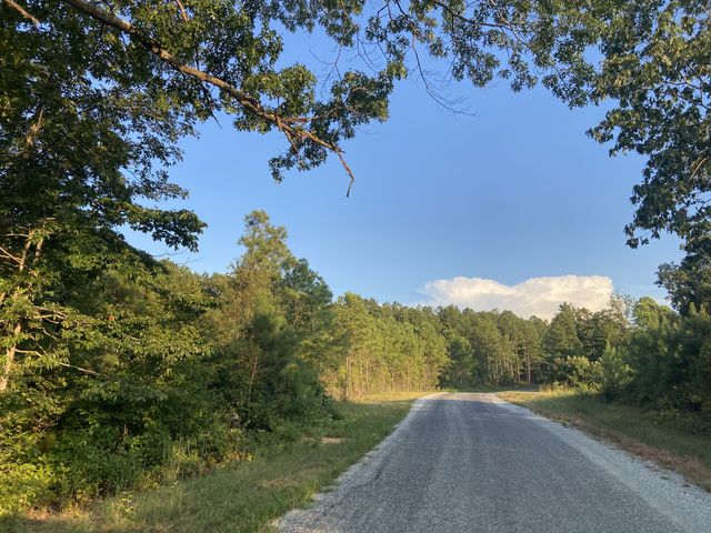 359 Cunningham Ln, Lobelville, TN 37097