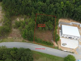 171 APPLEGATE TRACE, Pelham, AL 35124