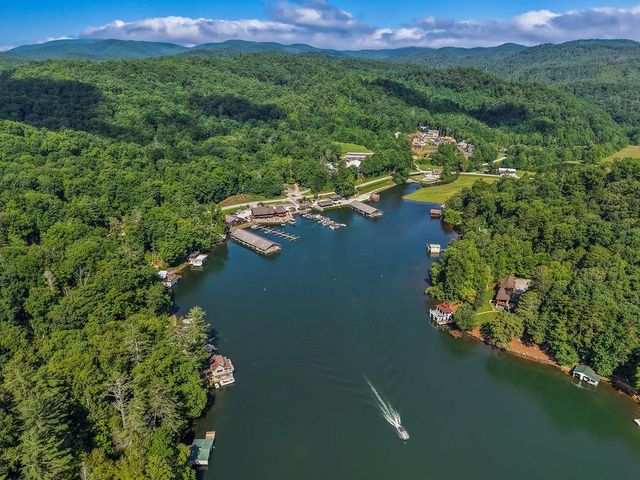 80 Cove View Lane, Clarkesville, GA 30523