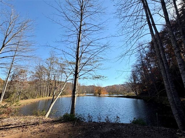 80 Cove View Lane, Clarkesville, GA 30523