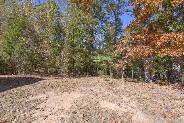 43 Horne Drive, Abbeville, SC 29620