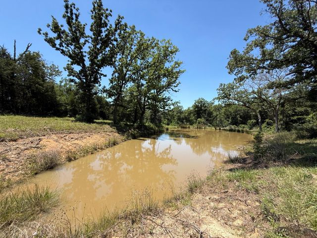 10308 Farm Market 831, Buffalo, TX 75831