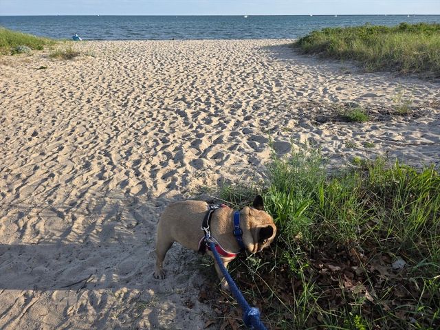 800 Bearses Way 4NF, Barnstable, MA 02601