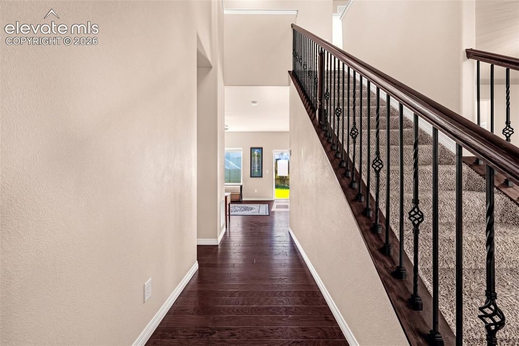 6607 Lamine Drive, Colorado Springs, CO 80925 — photo 3