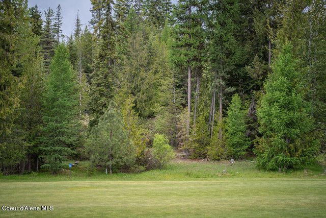 207 Long lot#4 Dr, Priest Lake, ID 83856