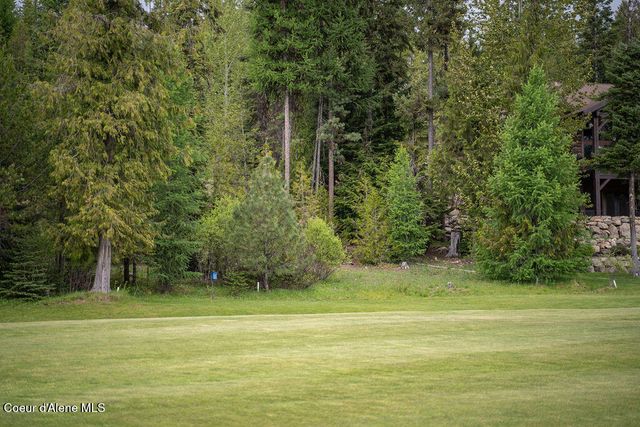 207 Long lot#4 Dr, Priest Lake, ID 83856