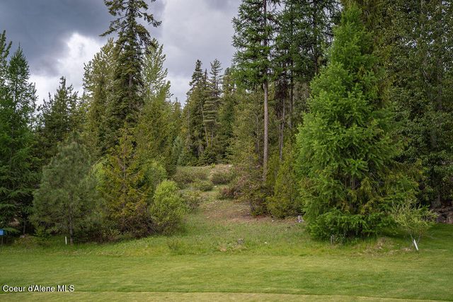 207 Long lot#4 Dr, Priest Lake, ID 83856
