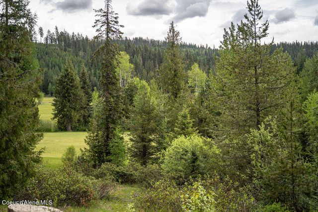 207 Long lot#4 Dr, Priest Lake, ID 83856