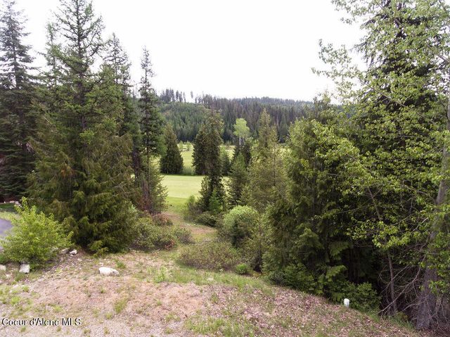 207 Long lot#4 Dr, Priest Lake, ID 83856