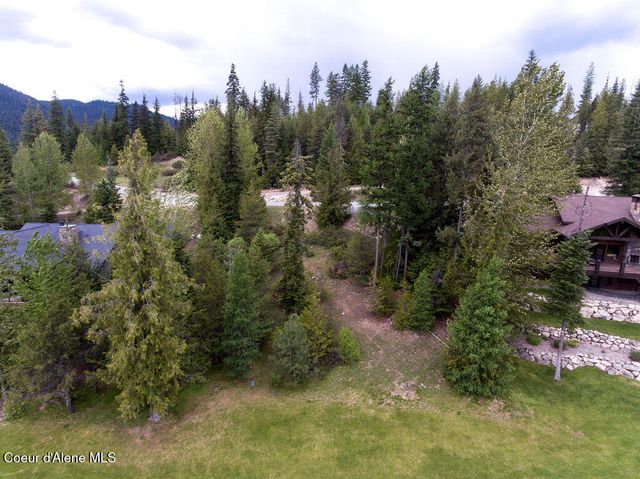207 Long lot#4 Dr, Priest Lake, ID 83856