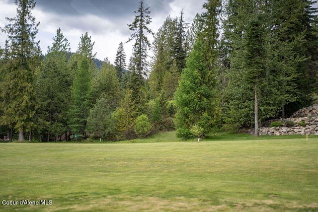 207 Long lot#4 Dr, Priest Lake, ID 83856