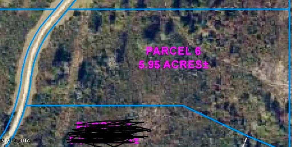Parcel 6 R Thompson Road, Lumberton, MS 39455