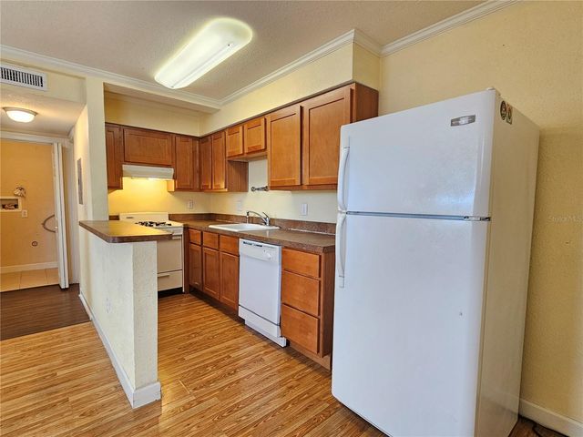 119 N EVERGREEN AVENUE 203, Clearwater, FL 33755