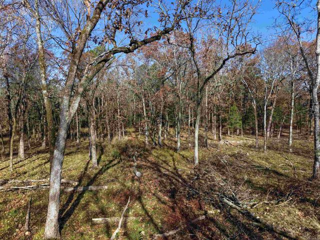 458 Union Hill Road, Story, AR 71970