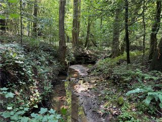 0 Alpine Drive, Sautee Nacoochee, GA 30571