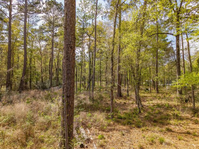 65 Ash Place, New Caney, TX 77357