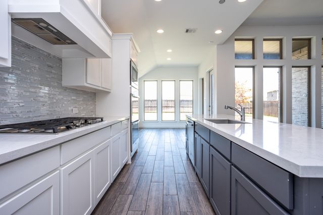 340 Moonvine Drive, Little Elm, TX 75068
