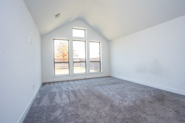 340 Moonvine Drive, Little Elm, TX 75068