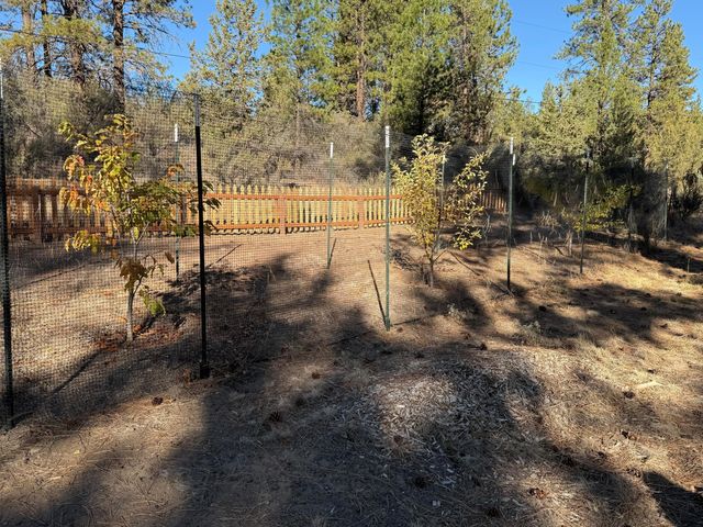 7623 Prairie Dog Drive, Bonanza, OR 97623