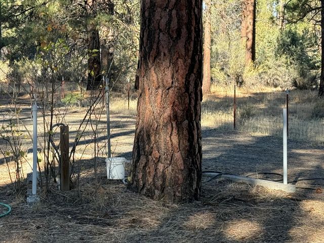 7623 Prairie Dog Drive, Bonanza, OR 97623