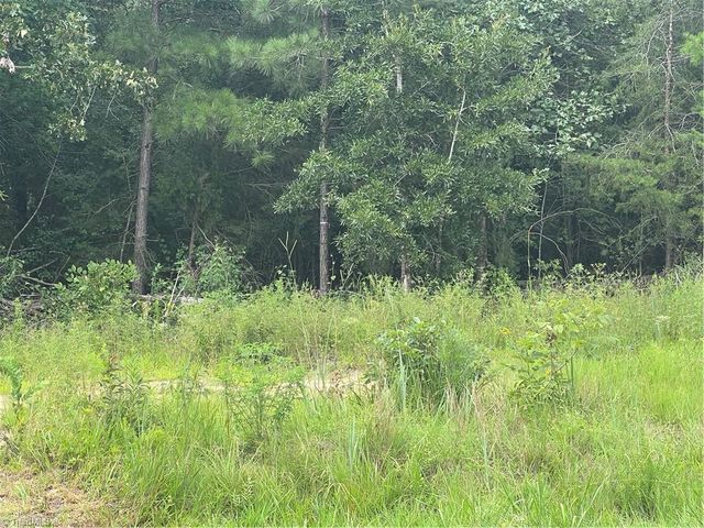 0 N NC Highway 49, Mebane, NC 27302