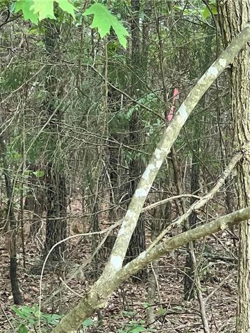 0 N NC Highway 49, Mebane, NC 27302