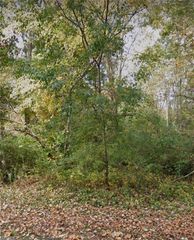 00 OAKWOOD Circle, Lexington, NC 27295