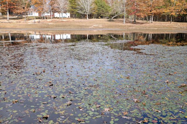 926 Monteagle Falls Rd, Monteagle, TN 37356