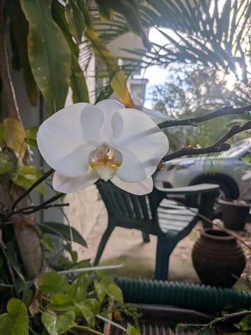 2253 W Discovery Circle 2253, Deerfield Beach, FL 33442