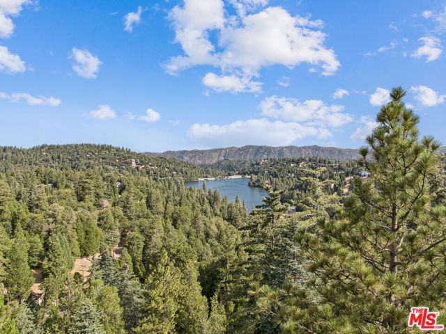24612 Bernard Drive, Crestline, CA 92325