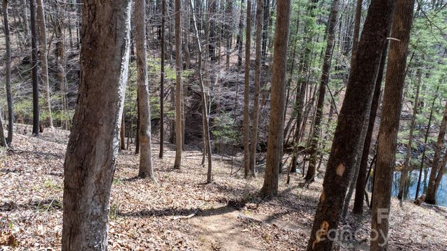 503 Larkhaven Drive, Nebo, NC 28761