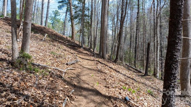 503 Larkhaven Drive, Nebo, NC 28761
