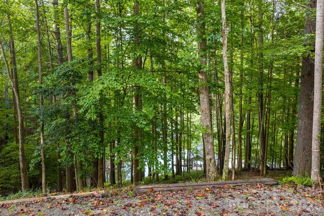 503 Larkhaven Drive, Nebo, NC 28761