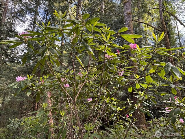 3021 NW Beth Lane, Poulsbo, WA 98370