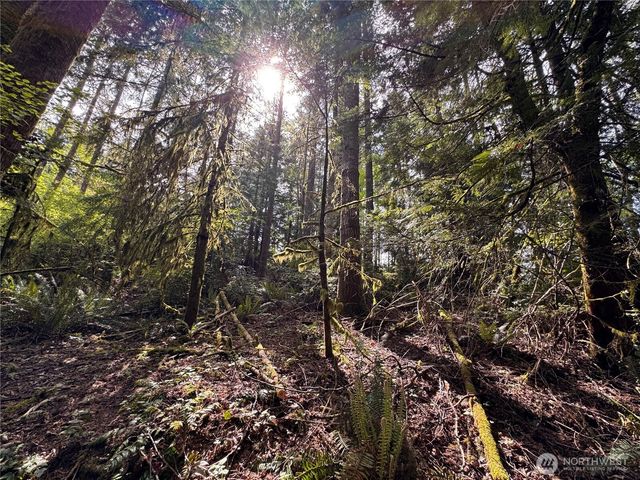 3021 NW Beth Lane, Poulsbo, WA 98370
