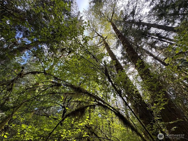 3021 NW Beth Lane, Poulsbo, WA 98370
