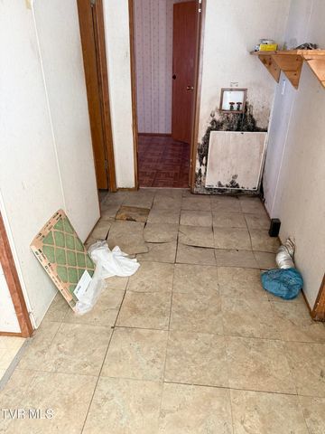 704 Weems Chapel Road, Mosheim, TN 37818