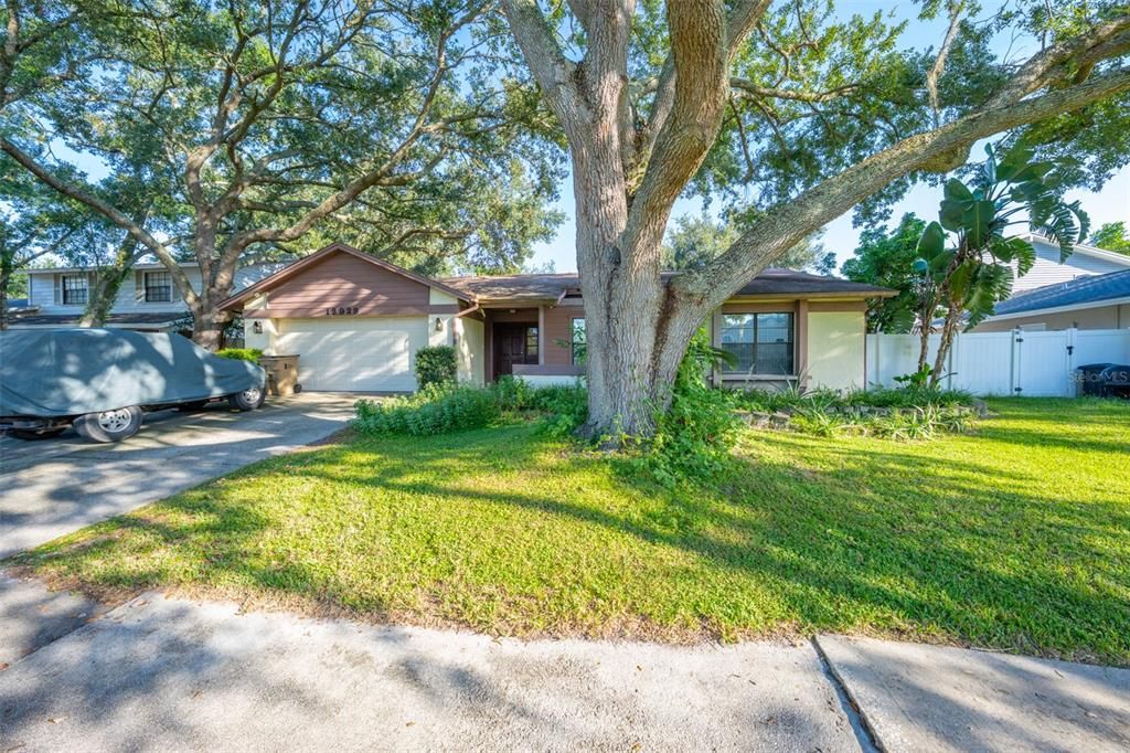 12929 RAIN FOREST STREET, Temple Terrace, FL 33617