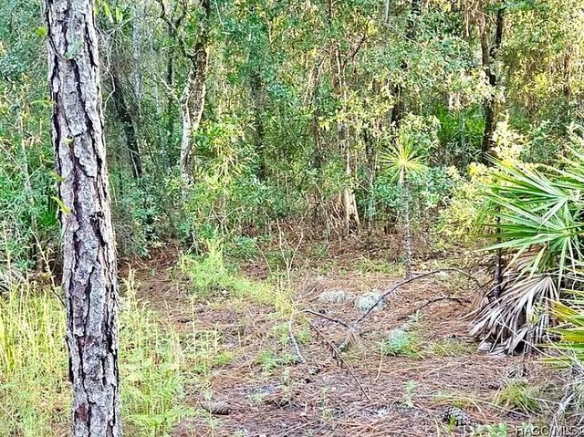 4984 N SANDPEBBLE POINT, Crystal River, FL 34428