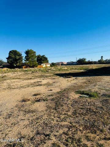 Fuchsia Avenue, California City, CA 93505