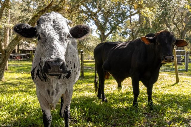 2348 Nine Mile RD, Labelle, FL 33935