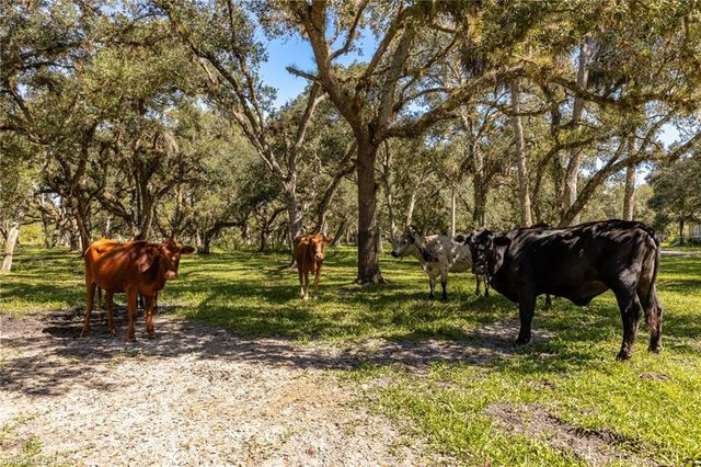 2348 Nine Mile RD, Labelle, FL 33935