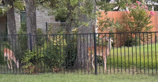 200 Park Place DR, Georgetown, TX 78628