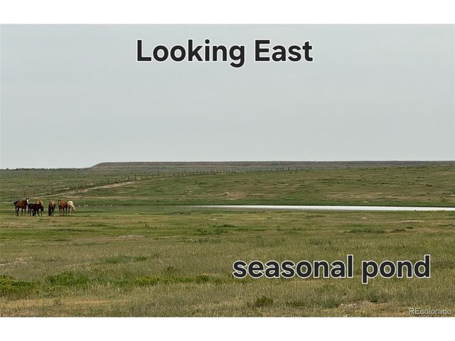 county road 96, Pierce, CO 80650