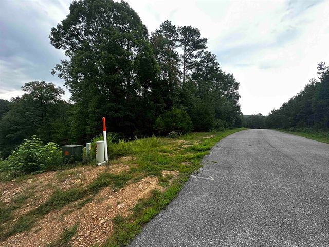 Lot 49 Cobalt Bay Drive, Shirley, AR 72153