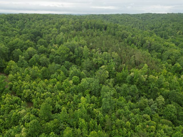 14656 Highway 438, W, Linden, TN 37096
