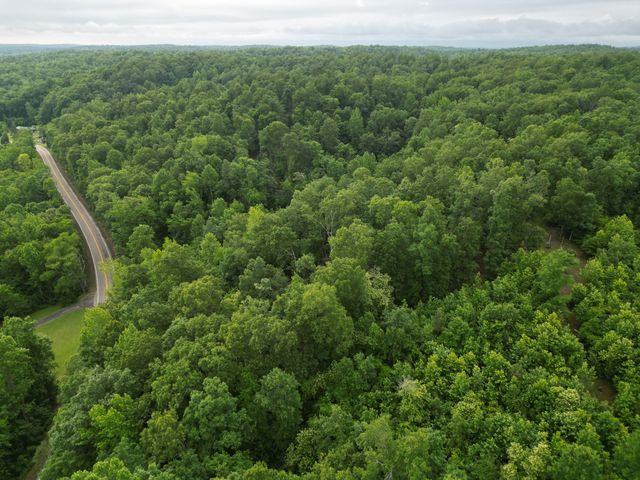 14656 Highway 438, W, Linden, TN 37096