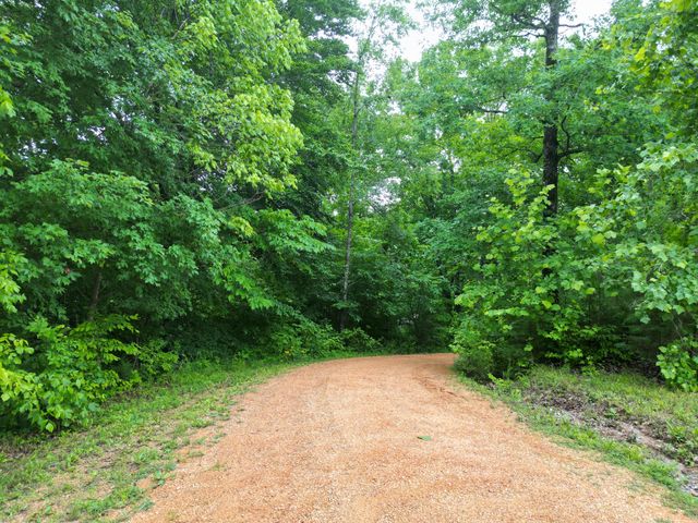 14656 Highway 438, W, Linden, TN 37096