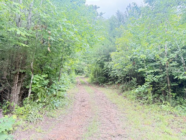 14656 Highway 438, W, Linden, TN 37096