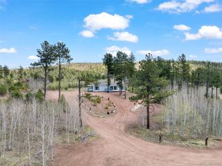 100 Wolverine Drive, Florissant, CO 80816